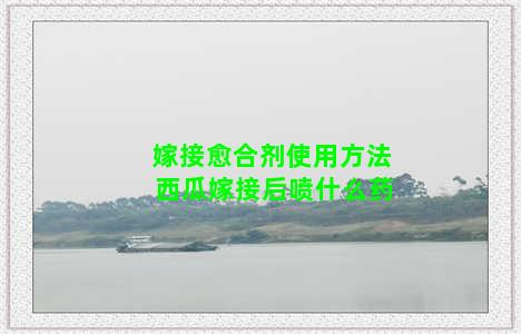 嫁接愈合剂使用方法 西瓜嫁接后喷什么药